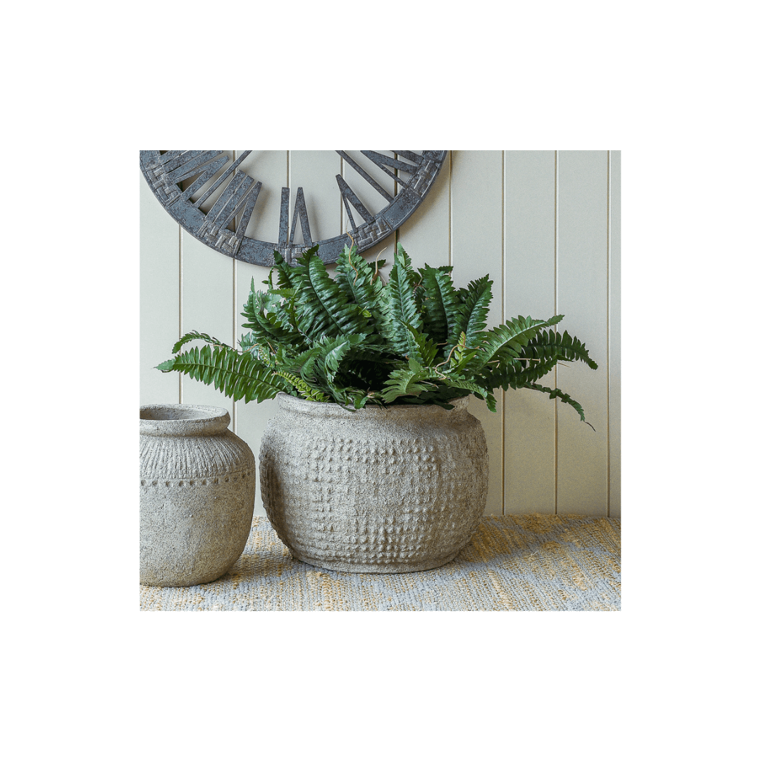 Arlen Terracotta Plant Pot