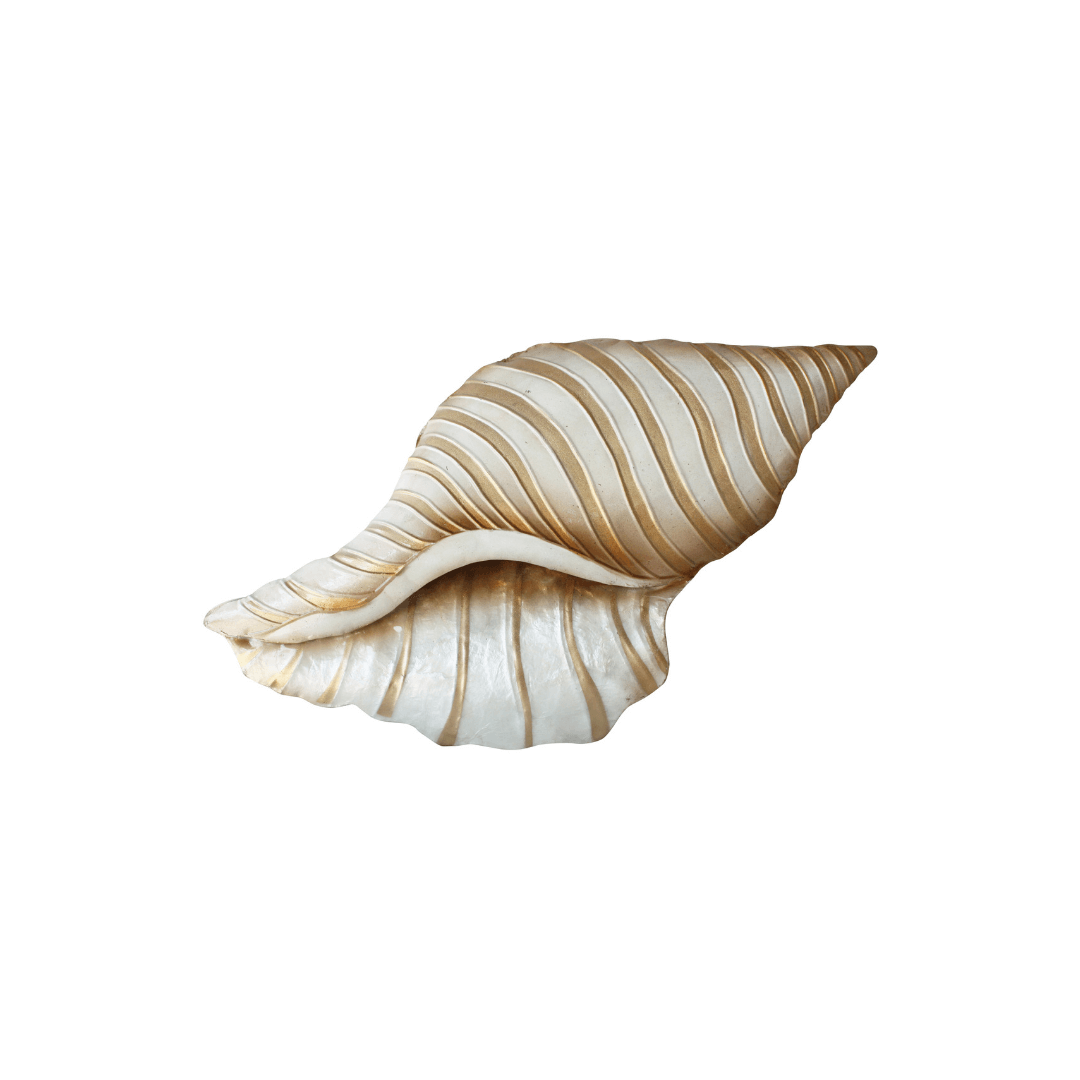 Capiz Conch Shell Wall Art