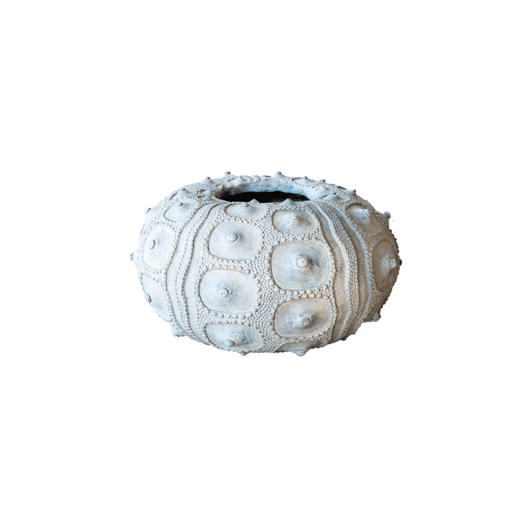 Sea Urchin Vase/Table Decor