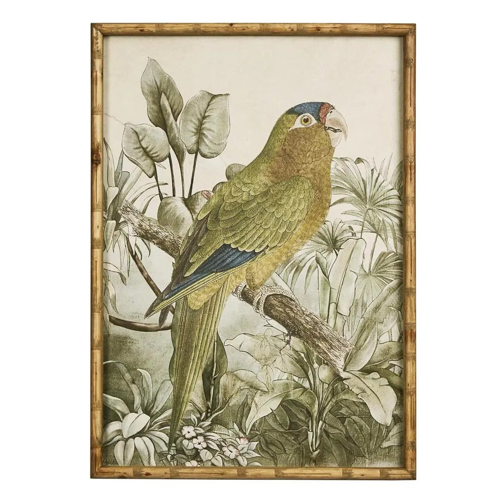 Jungle Parrot Wall Art B