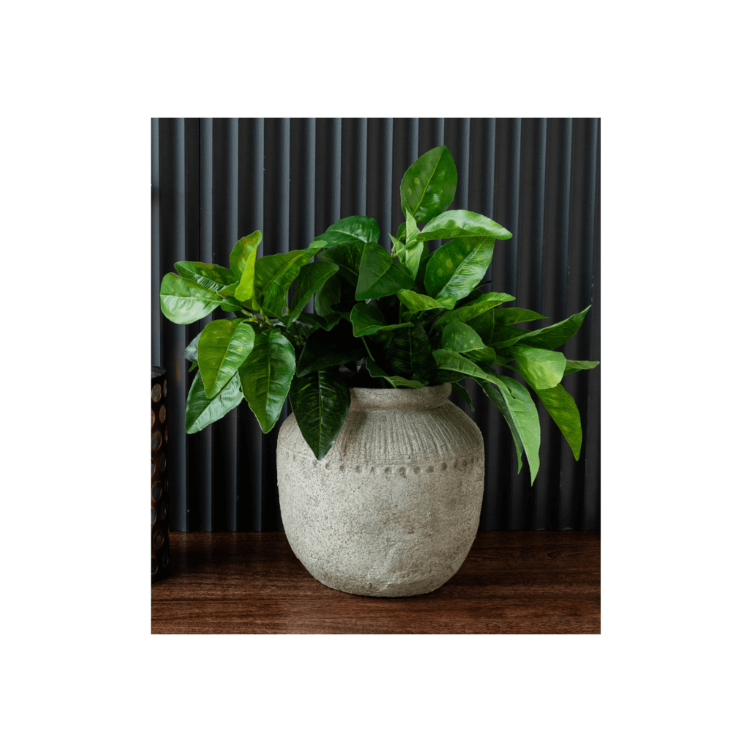 McKinley Terracotta Plant Pot