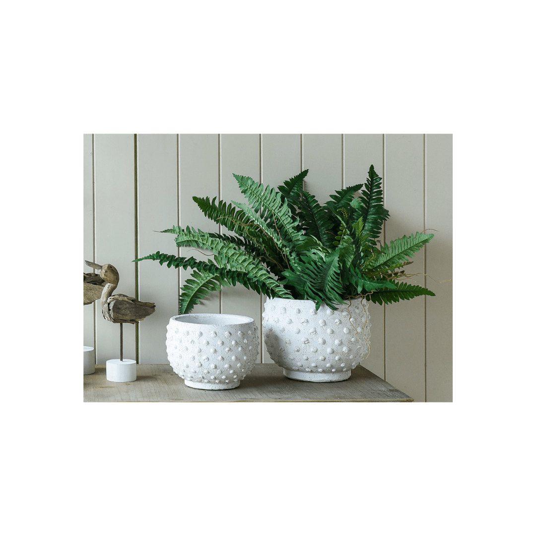 Sandy Spot Terracotta Plant Pots
