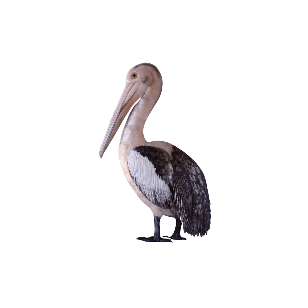 Capiz Pelican Wall Art