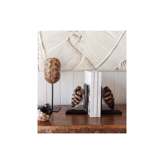 Toni Faux Turtle Shell Book End Set